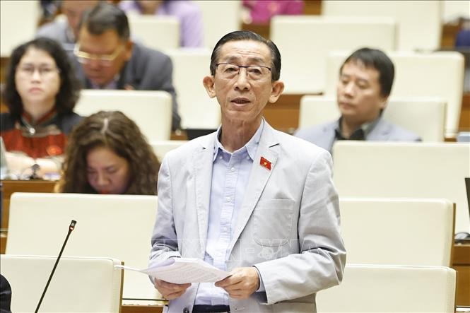 Đại biểu Quốc hội TP Hồ Chí Minh Trần Hoàng Ngân.