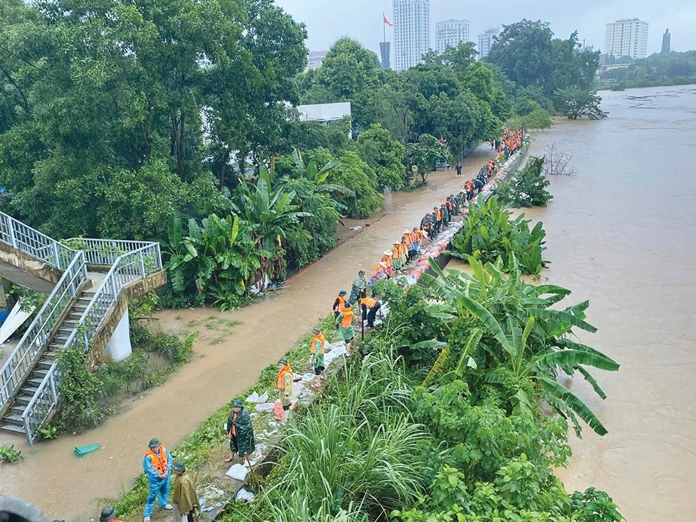 Lực lượng quân đội, công an phối hợp nhân dân tỉnh Thái Nguyên củng cố đê sông Cầu đoạn qua phường Phan Đình Phùng. Ảnh: Báo Thái Nguyên