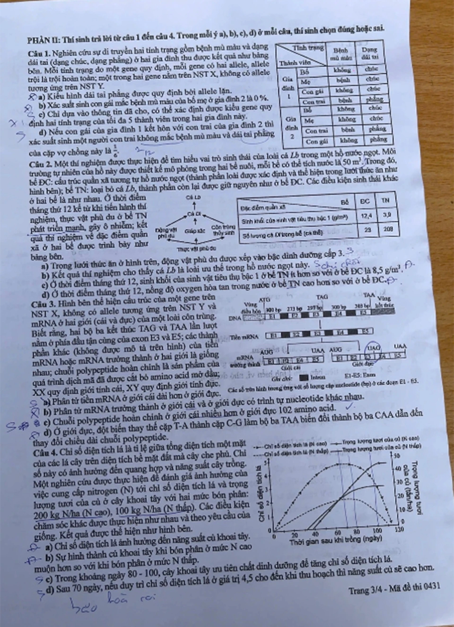 12-6-sinh3.jpg