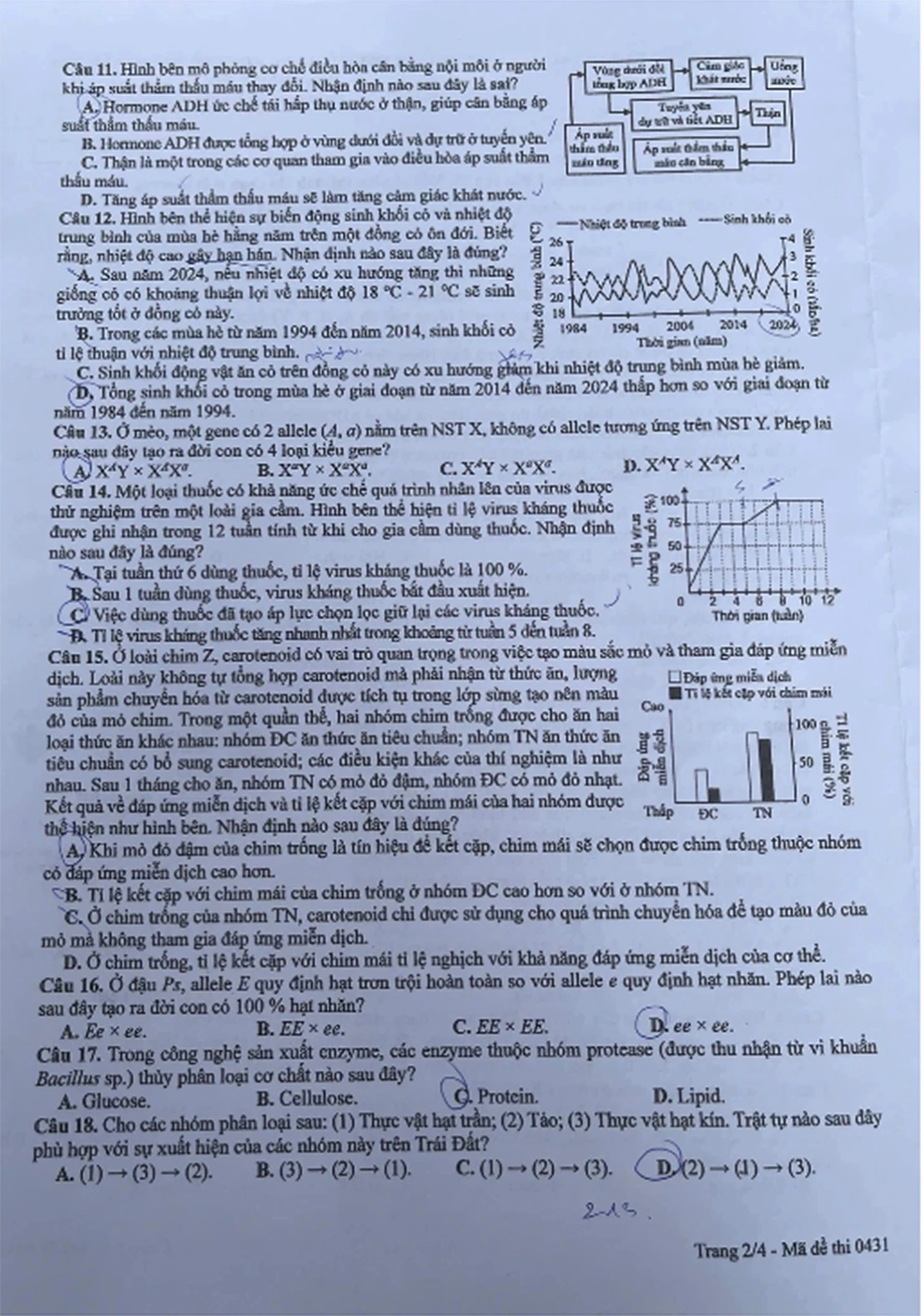 12-6-sinh2.jpg
