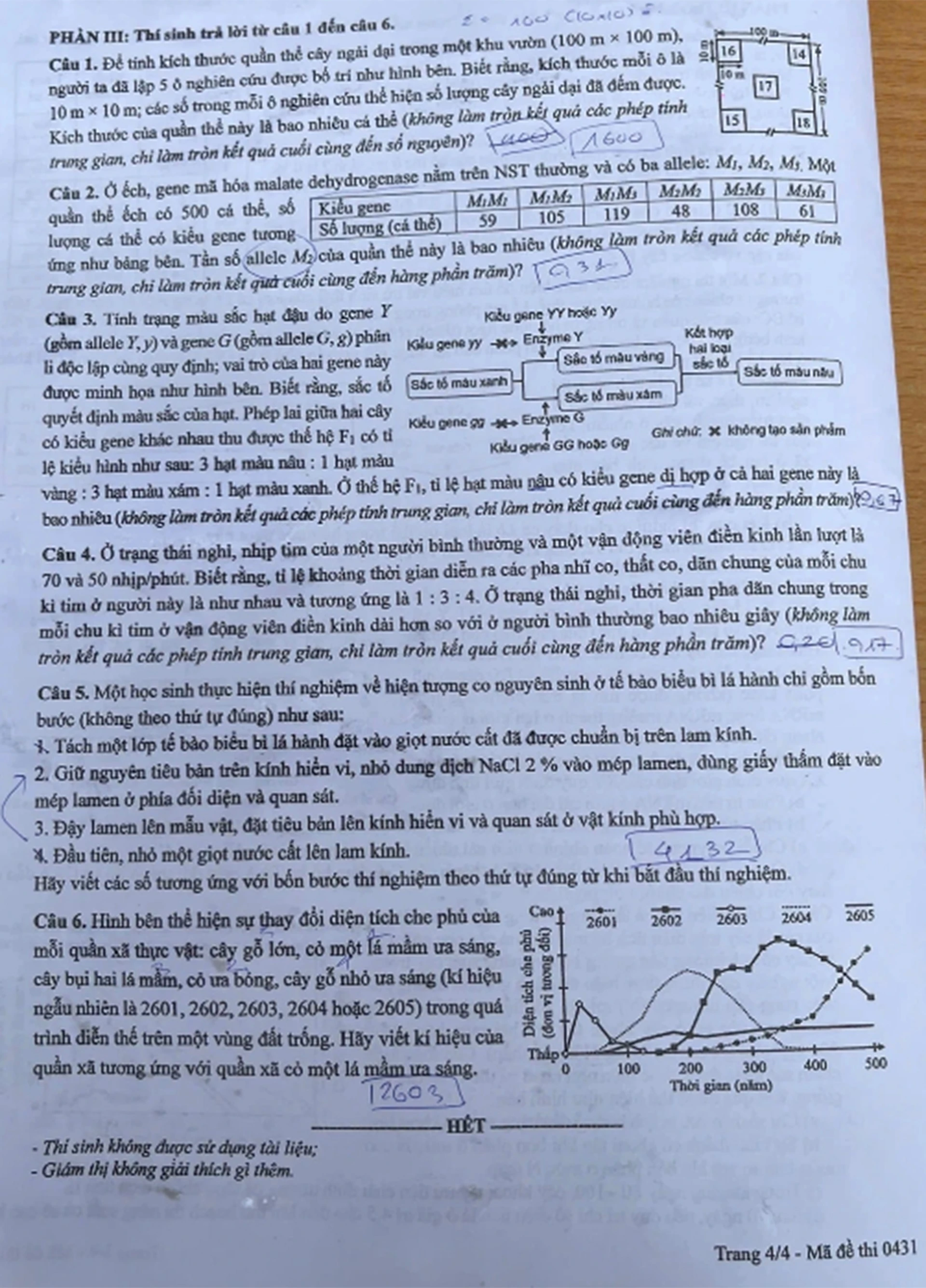 12-6-sinh4.jpg