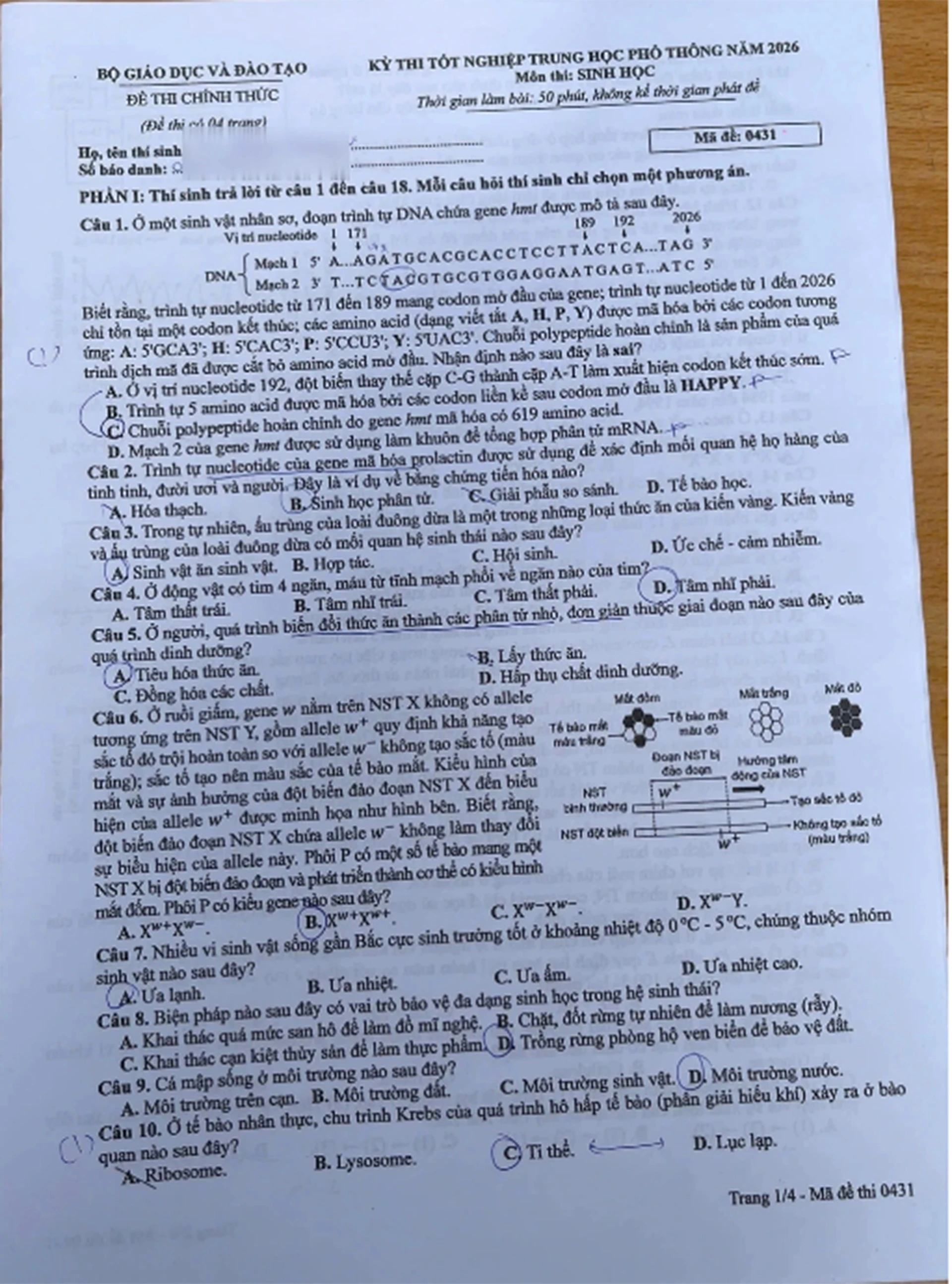 12-6-sinh1.jpg