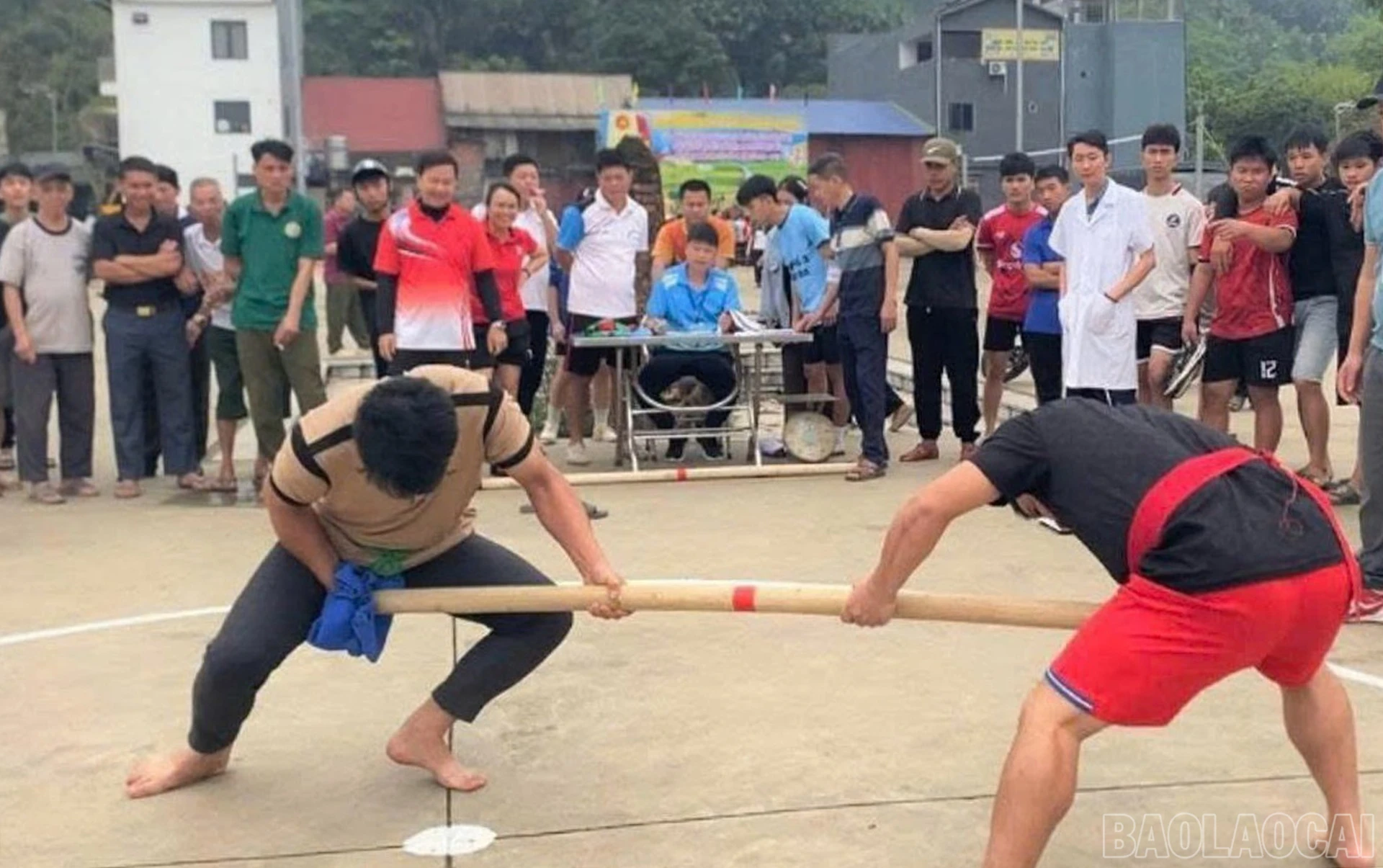 baolaocai-br_7.jpg