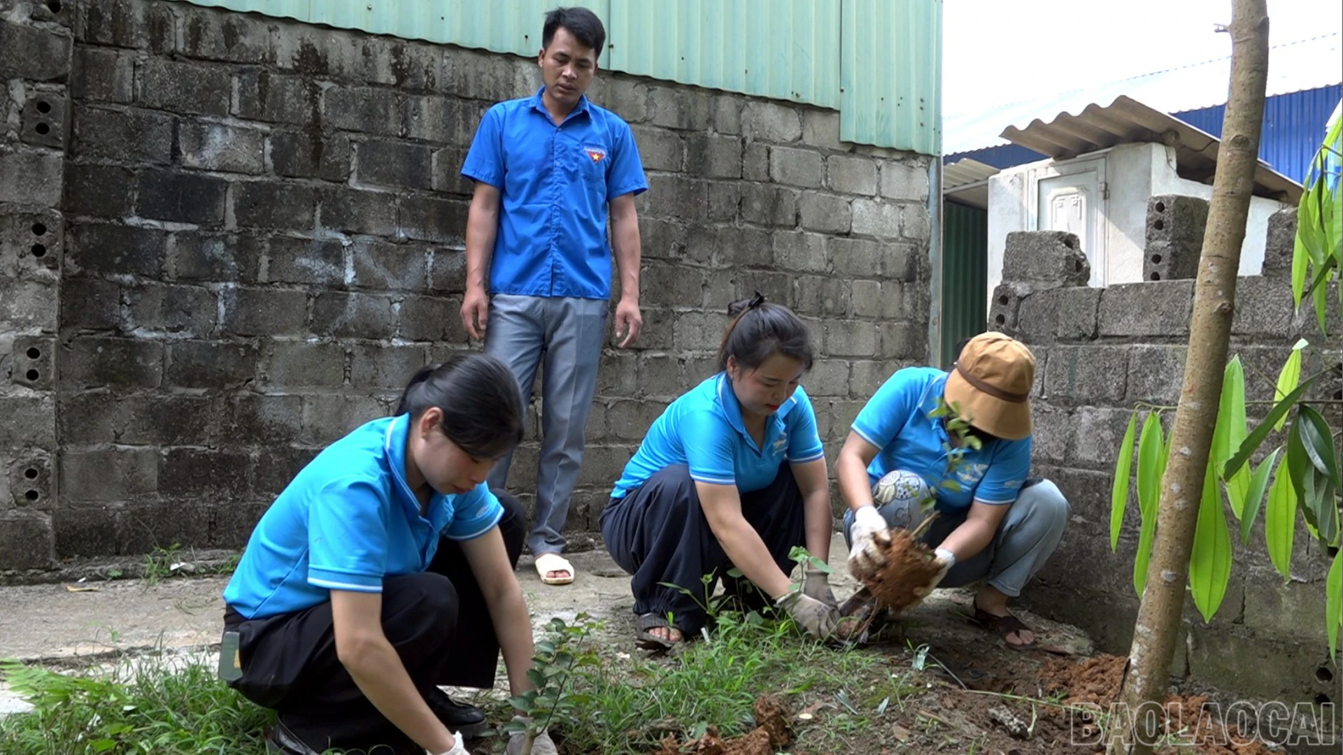 Trồng cây xanh và hoa tại nhà văn hóa bản Mo 1.