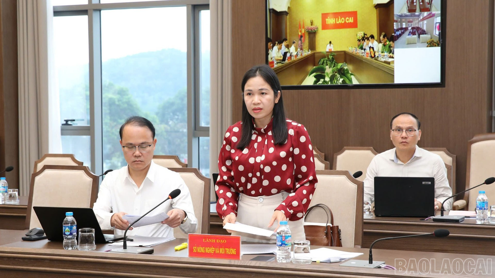 Lãnh đạo Sở Nông nghiệp và Môi trường phát biểu tại cuộc họp. baolaocai-br_31-10-sonn.jpg