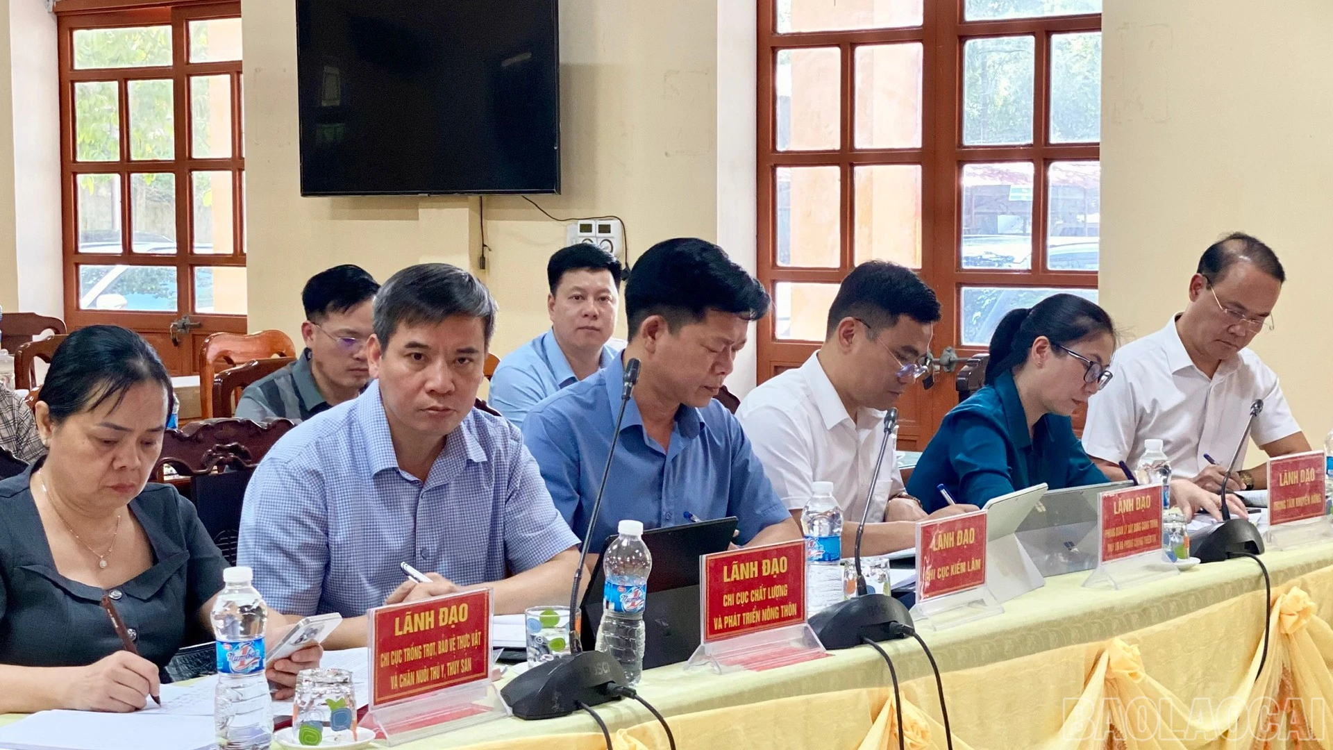 baolaocai-br_anh-2-4690.jpg