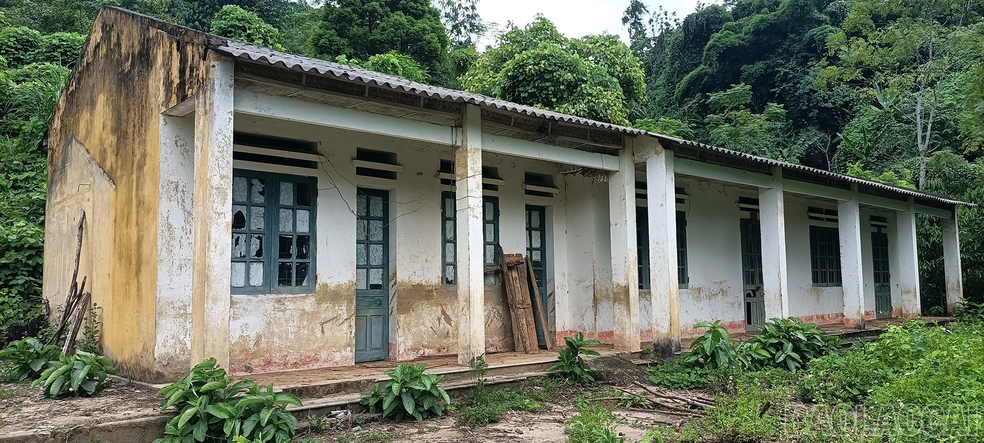 baolaocai-br_4t.jpg