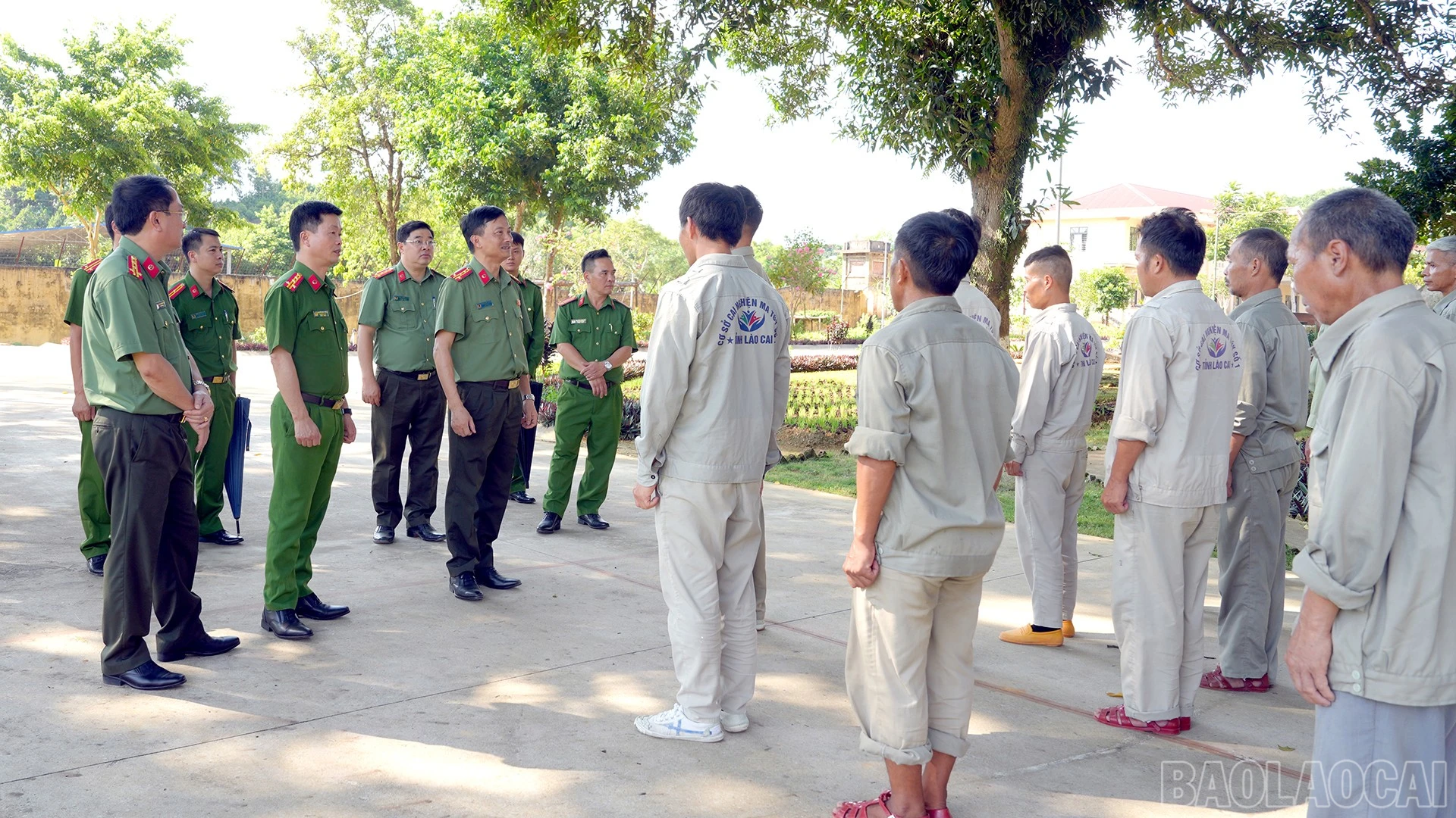 baolaocai-br_anh-4.jpg