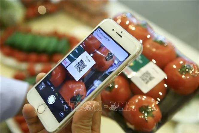 Quét mã QR Code truy xuất thông tin về nguồn gốc sản phẩm. Ảnh minh họa: