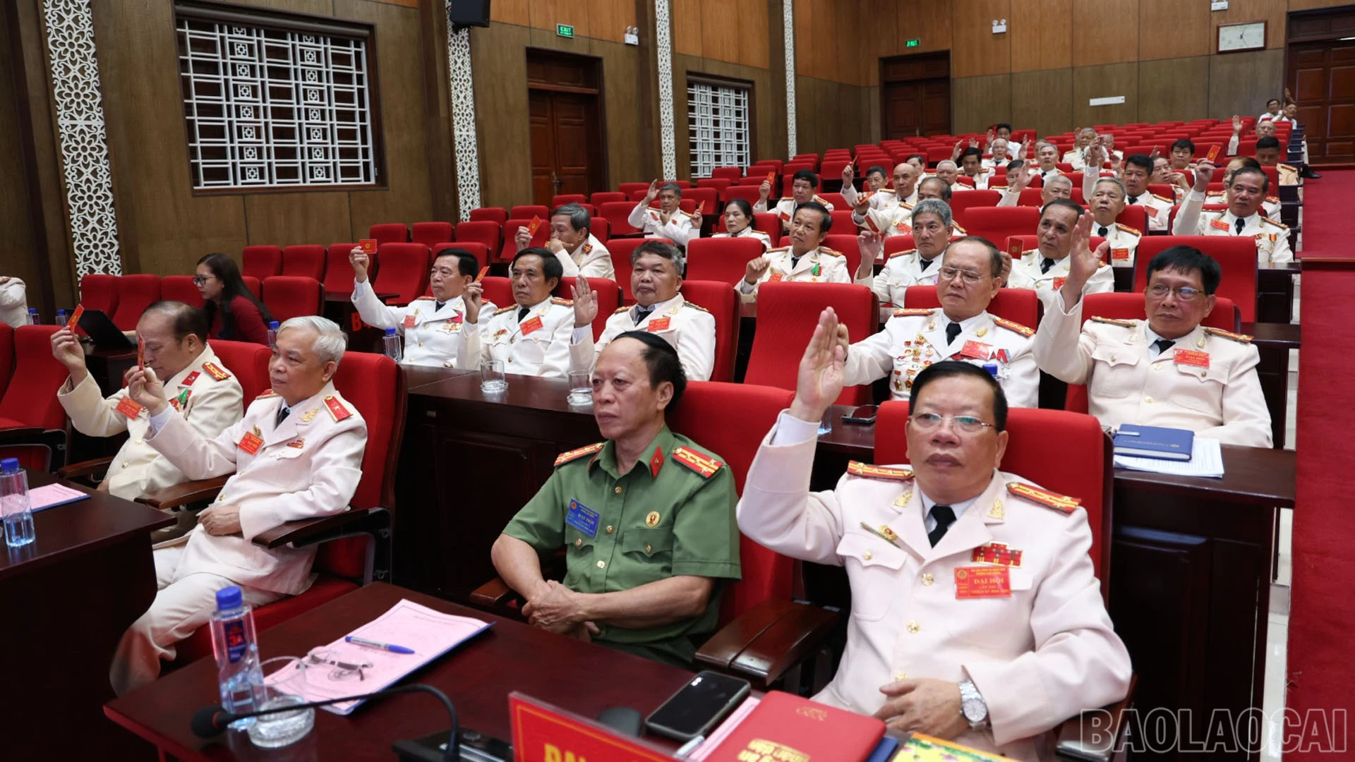 baolaocai-br_1000142220.jpg