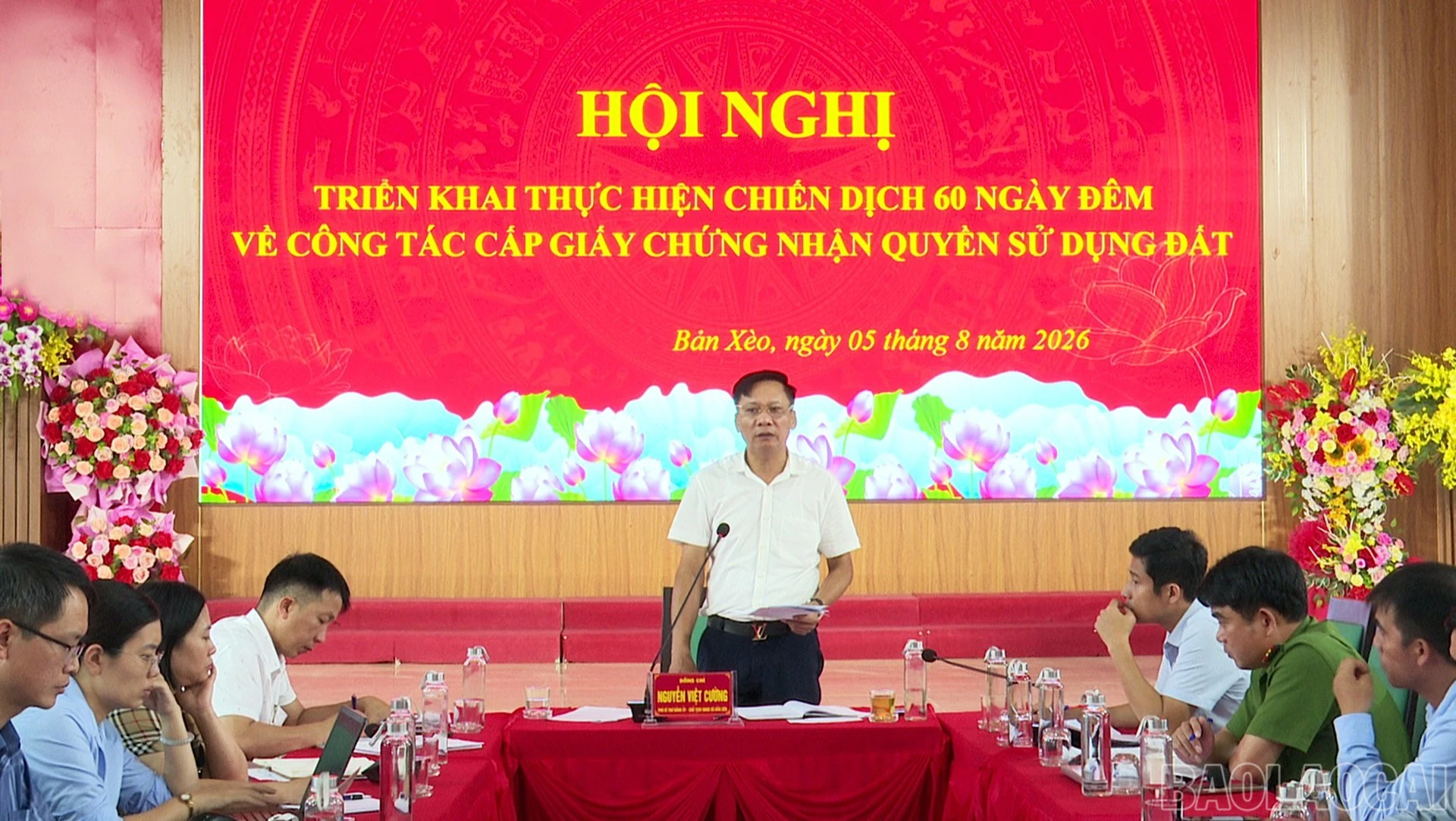 baolaocai-br_8.jpg