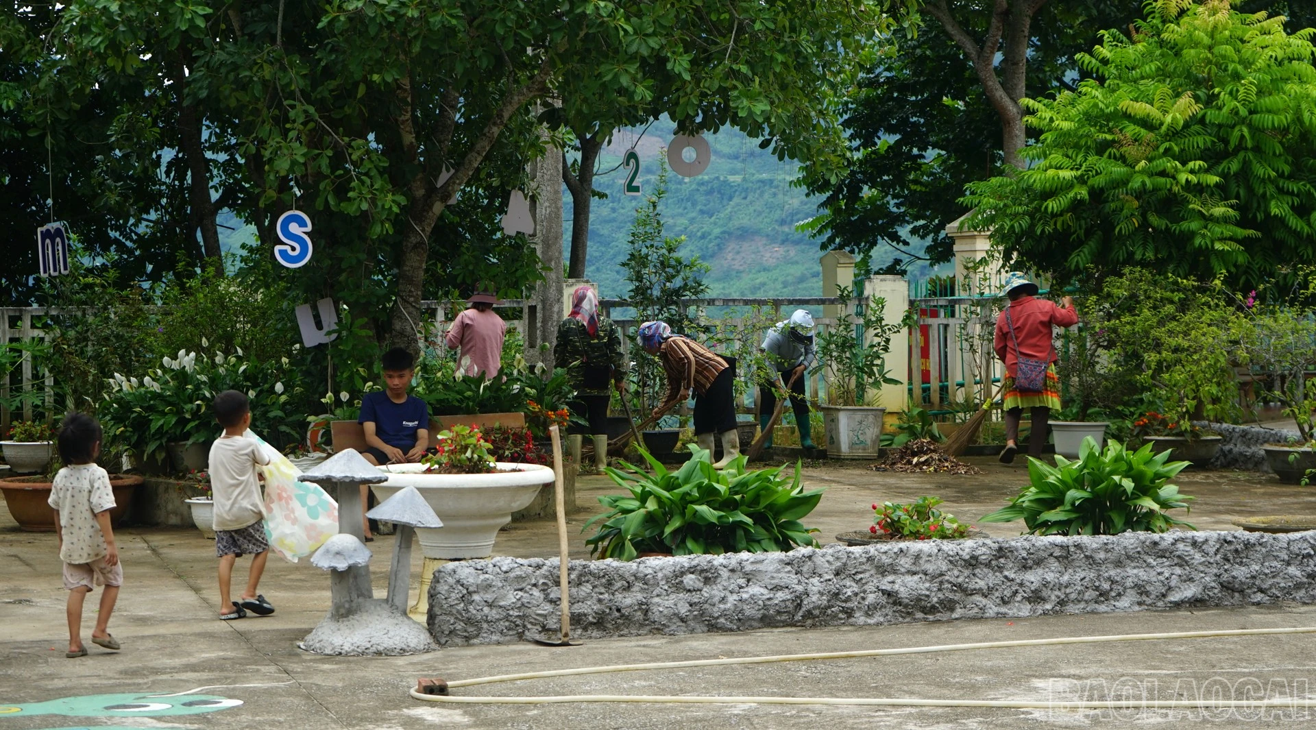 baolaocai-br_dsc04985.jpg