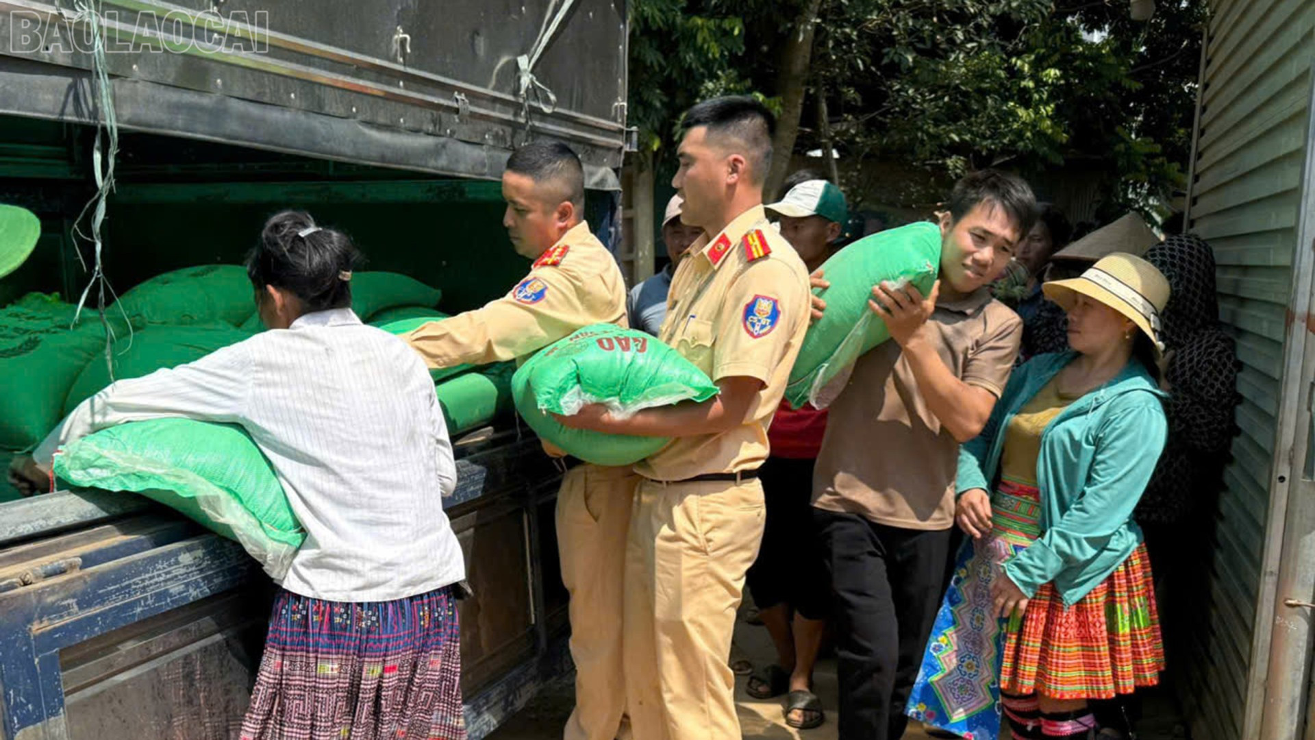 baolaocai-tl_anh-2.jpg