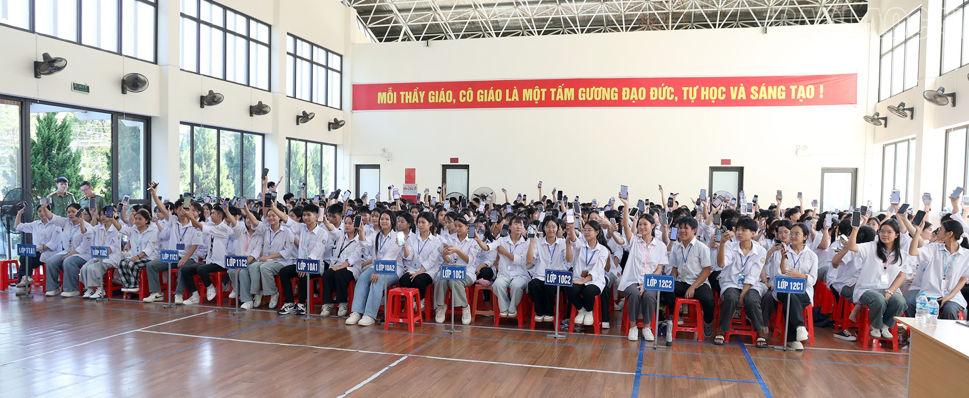 baolaocai-tr_imgl9367.jpg