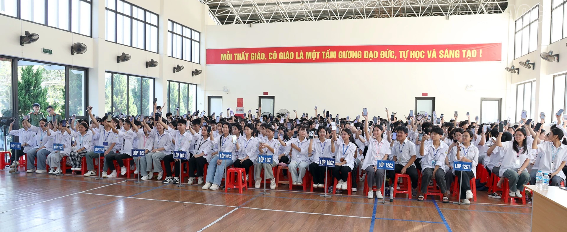 baolaocai-tr_imgl9367.jpg