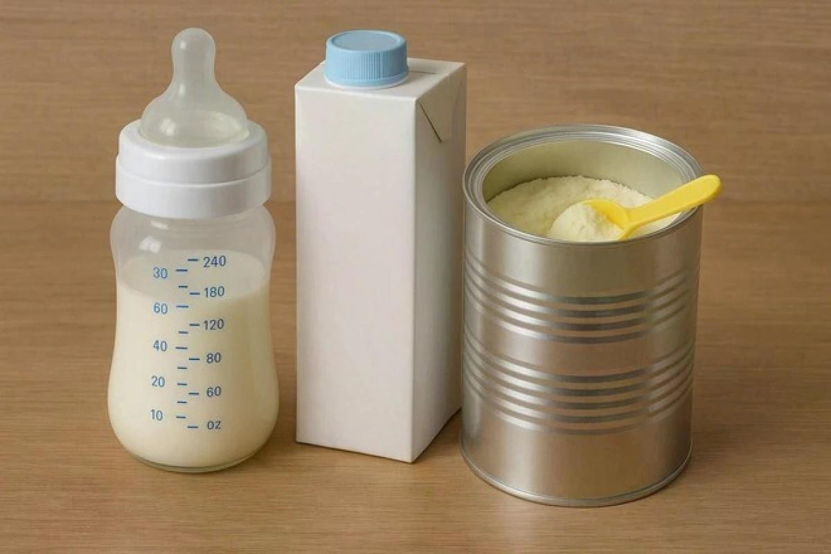 Vi khuẩn Bacillus cereus có thể xâm nhập vào sữa ở nhiều công đoạn (Ảnh: Internet)