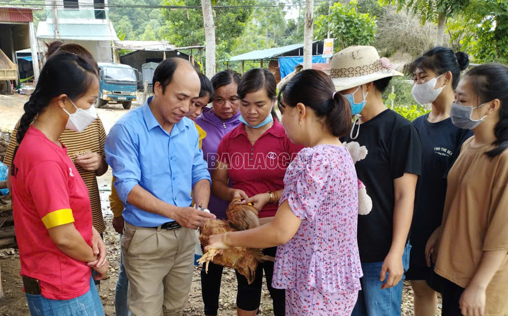 Cán bộ khuyến nông hướng dẫn bà con chăn nuôi cách chăm sóc, phòng bệnh cho gia cầm sau bão lũ. baolaocai-c_3-10-channuoi2.jpg
