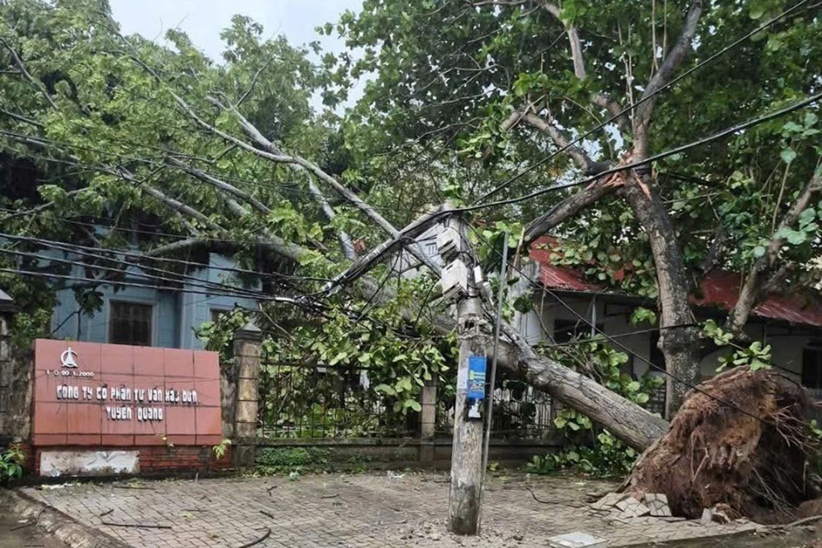 Cây xanh, cột điện gãy đổ do dông lốc tại phường Minh Xuân (Tuyên Quang).