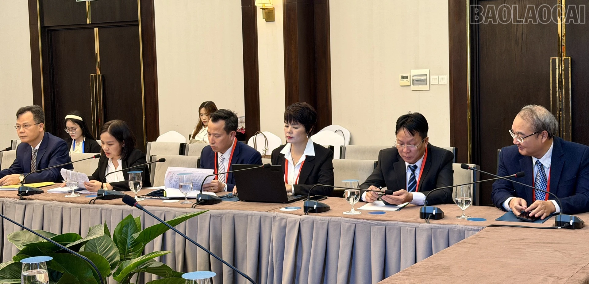 baolaocai-tr_img-5458.jpg