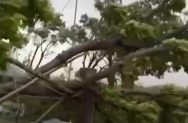 Các tỉnh miền Trung đang chống chọi với bão số 5