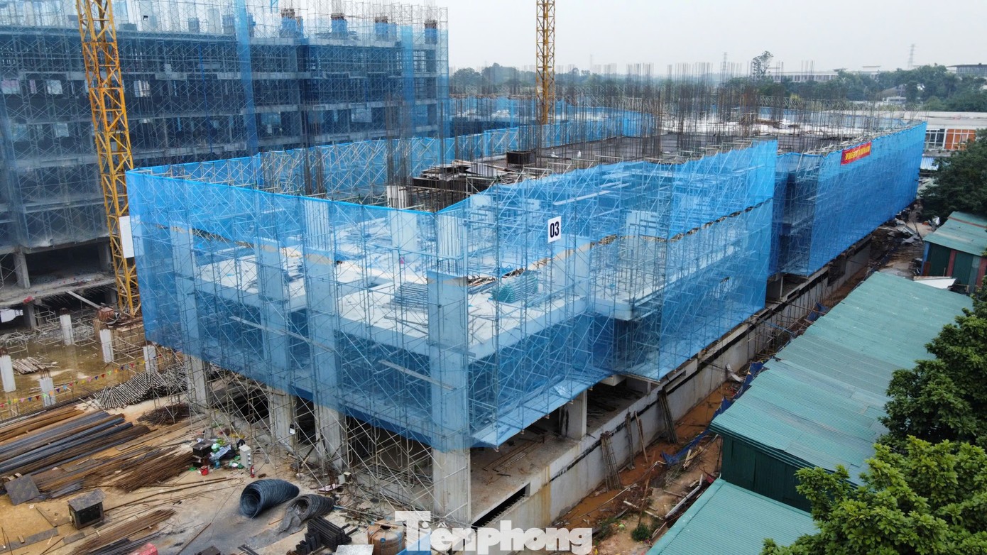 C06 có hướng dẫn về xác nhận thu nhập mua nhà ở xã hội cho lao động tự do.