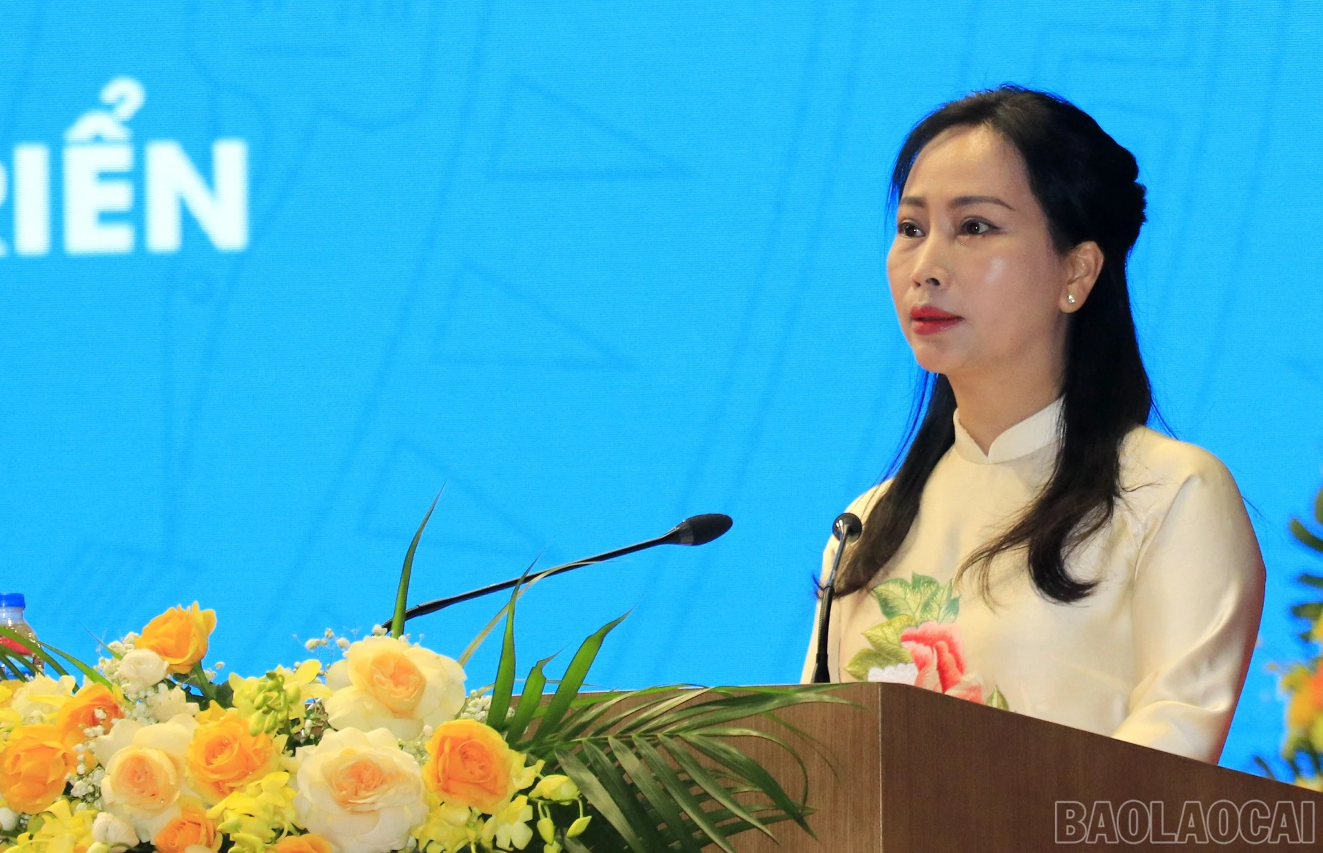 baolaocai-br_mg-3648.jpg
