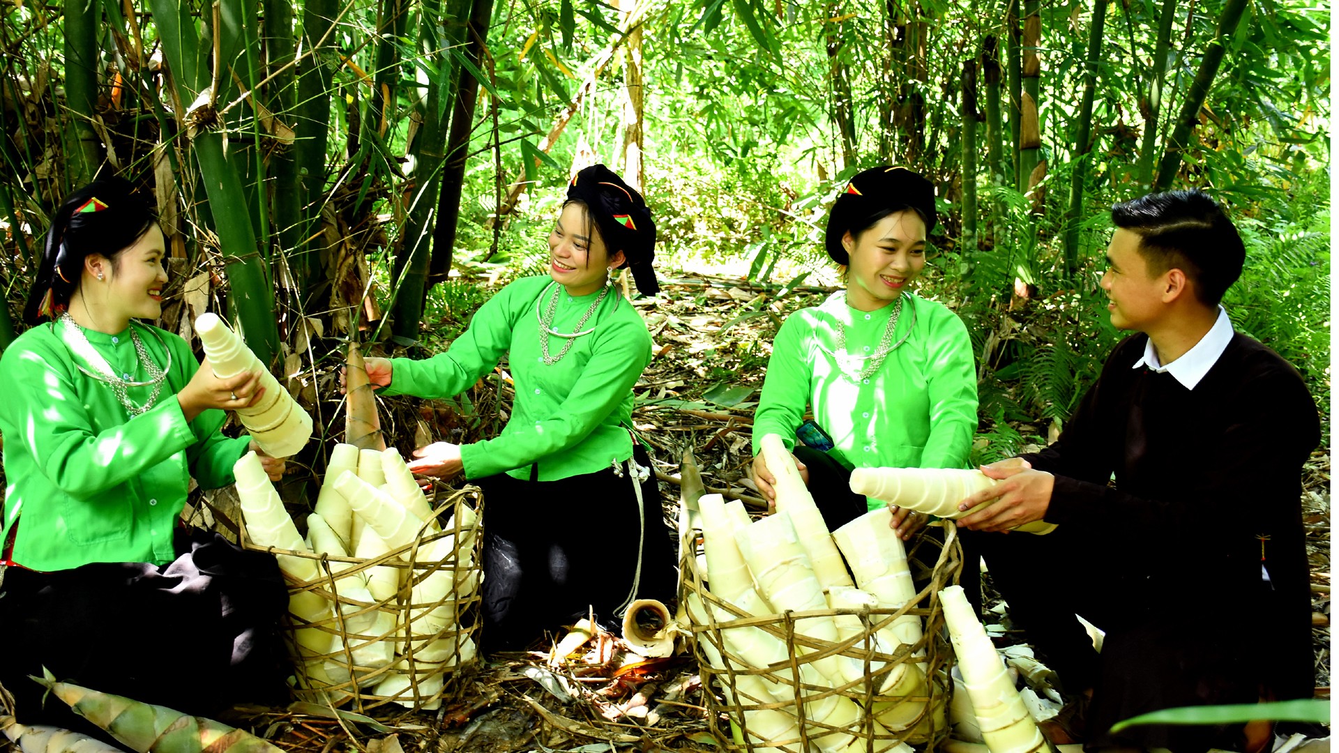 Người dân Lâm Thượng thu hoạch măng mai. 9-9-mang-mai2.jpg