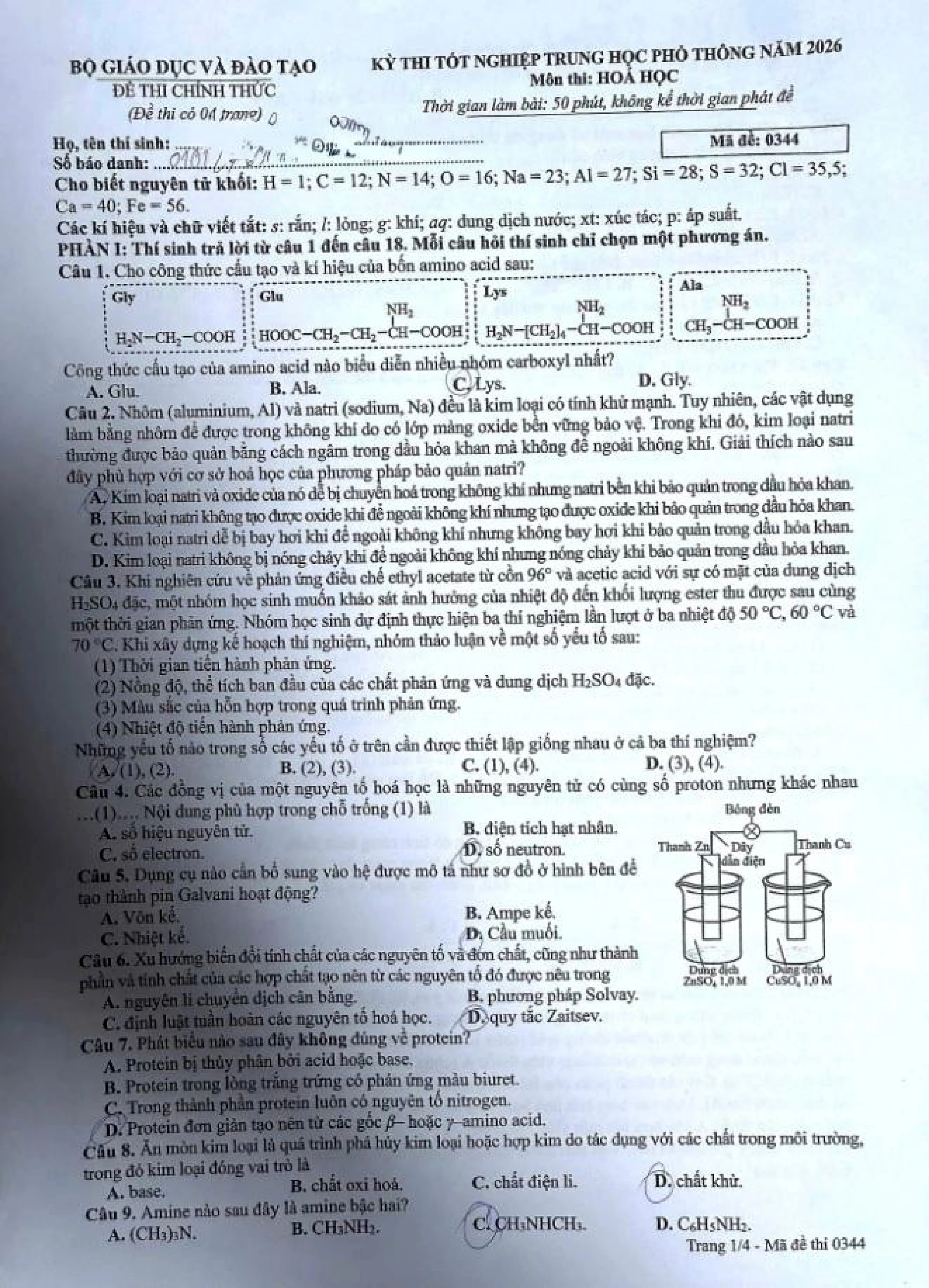 1-2174.jpg