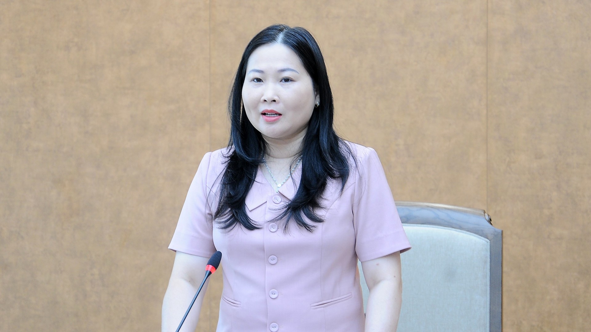 Đồng chí Vũ Thị Hiền Hạnh - Phó Chủ tịch UBND tỉnh, Chủ tịch Hội đồng thẩm định phát biểu tại hội nghị. 9-10-ba-hanh.jpg
