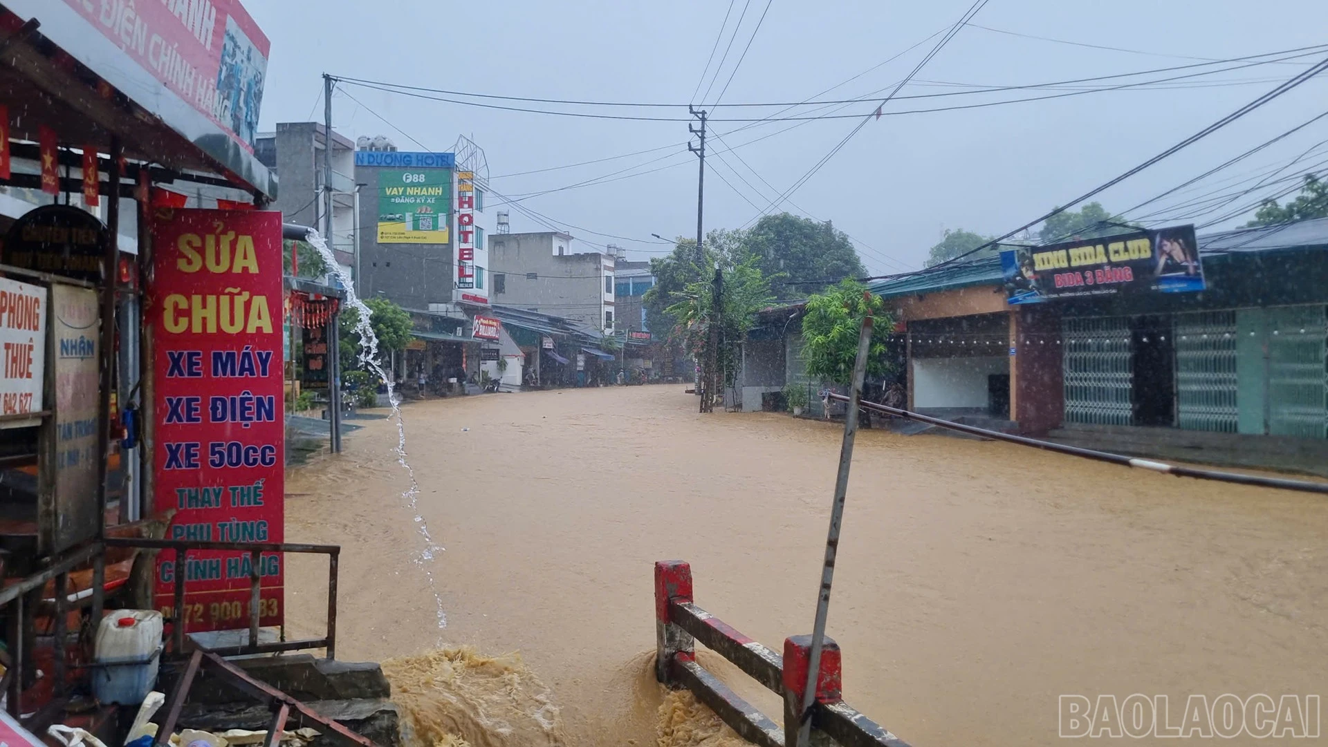 baolaocai-br_17.jpg