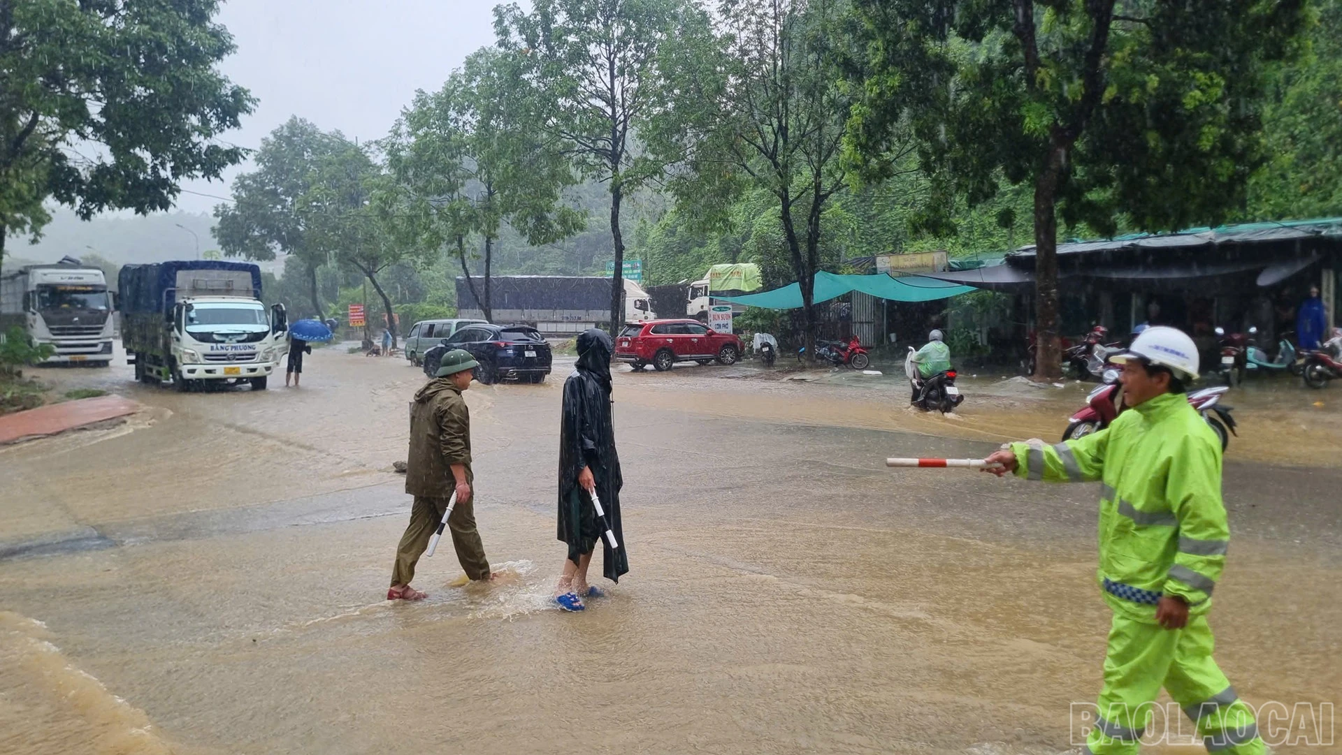 baolaocai-br_16.jpg