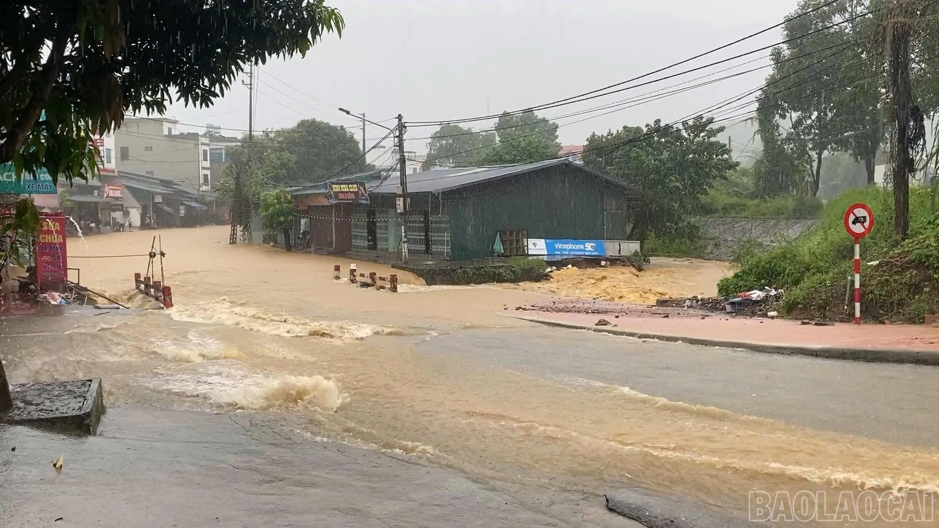 baolaocai-br_27.jpg