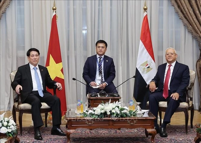 Chủ tịch nước Lương Cường hội kiến Chủ tịch Hạ viện Ai Cập Hanafy El-Gebaly.