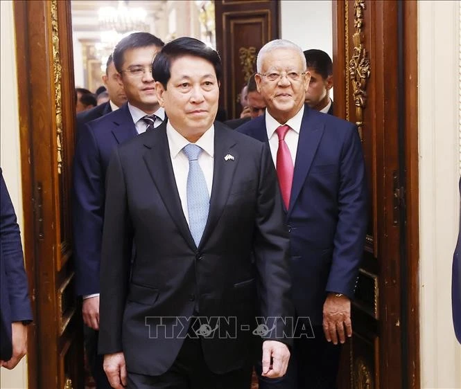 Chủ tịch nước Lương Cường hội kiến Chủ tịch Hạ viện Ai Cập Hanafy El-Gebaly.