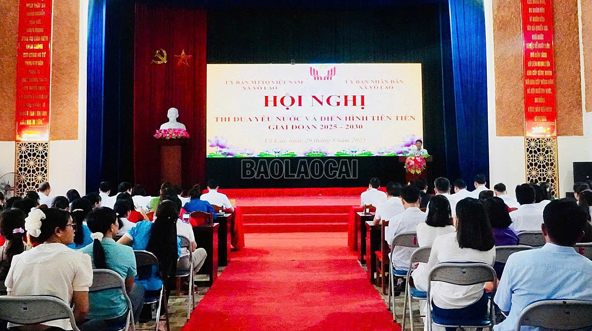 baolaocai-c_vl2.jpg