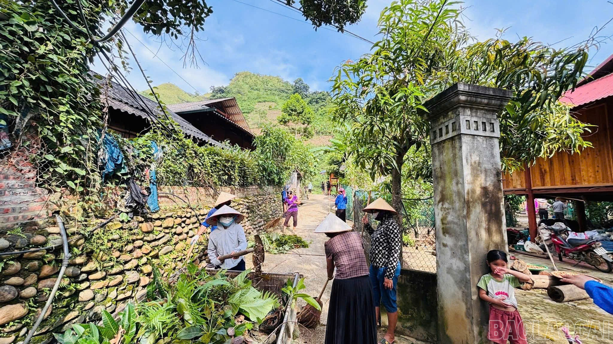 The government and people actively clean up the environment. baolaocai-br_mtdq.jpg