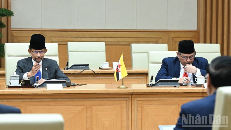 Quốc vương Brunei Darussalam Haji Hassanal Bolkiah phát biểu ý kiến tại cuộc hội kiến.