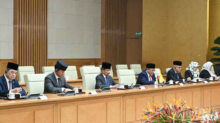 Quốc vương và Đoàn đại biểu Brunei Darussalam tại cuộc hội kiến.