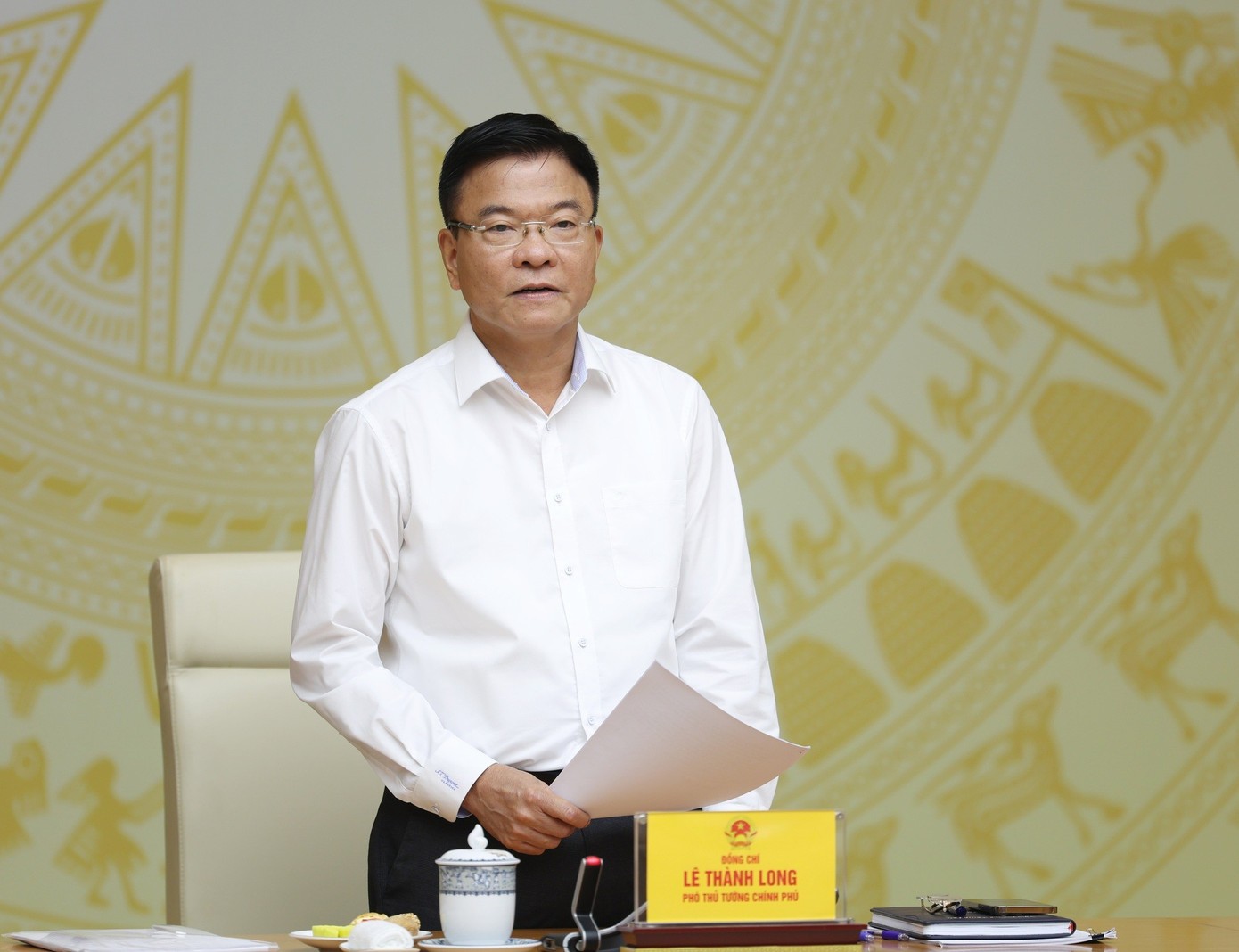 Phó Thủ tướng Chính phủ Lê Thành Long. Phó Thủ tướng Chính phủ Lê Thành Long.