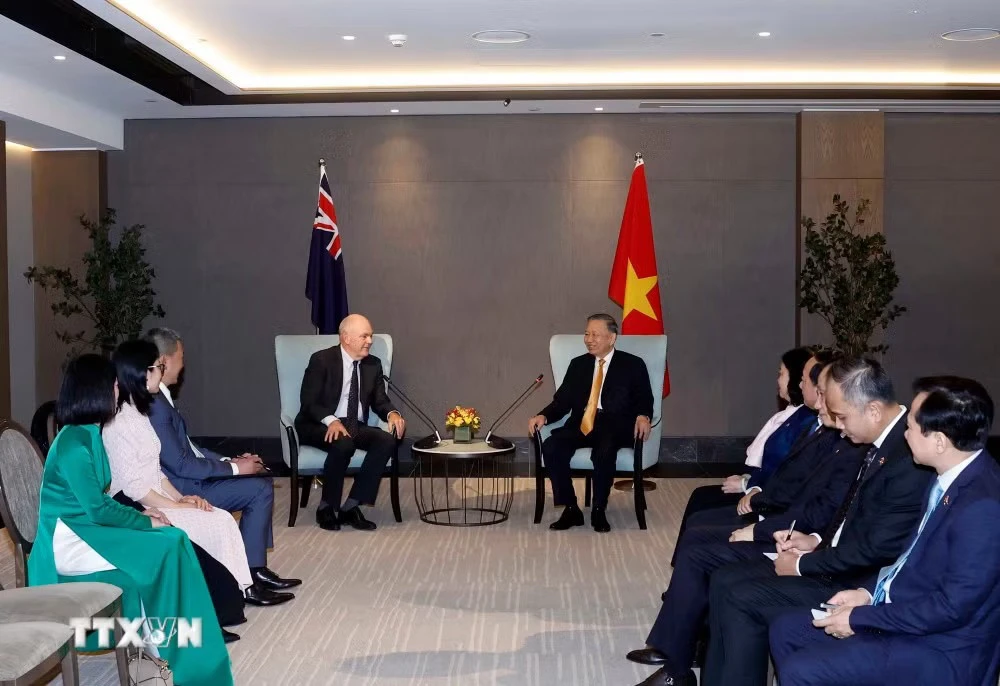 Tổng Bí thư, Chủ tịch nước Tô Lâm tiếp ông Steven Joyce, Quyền Chủ tịch Hội Hữu nghị New Zealand - Việt Nam. Ảnh: TTXVN