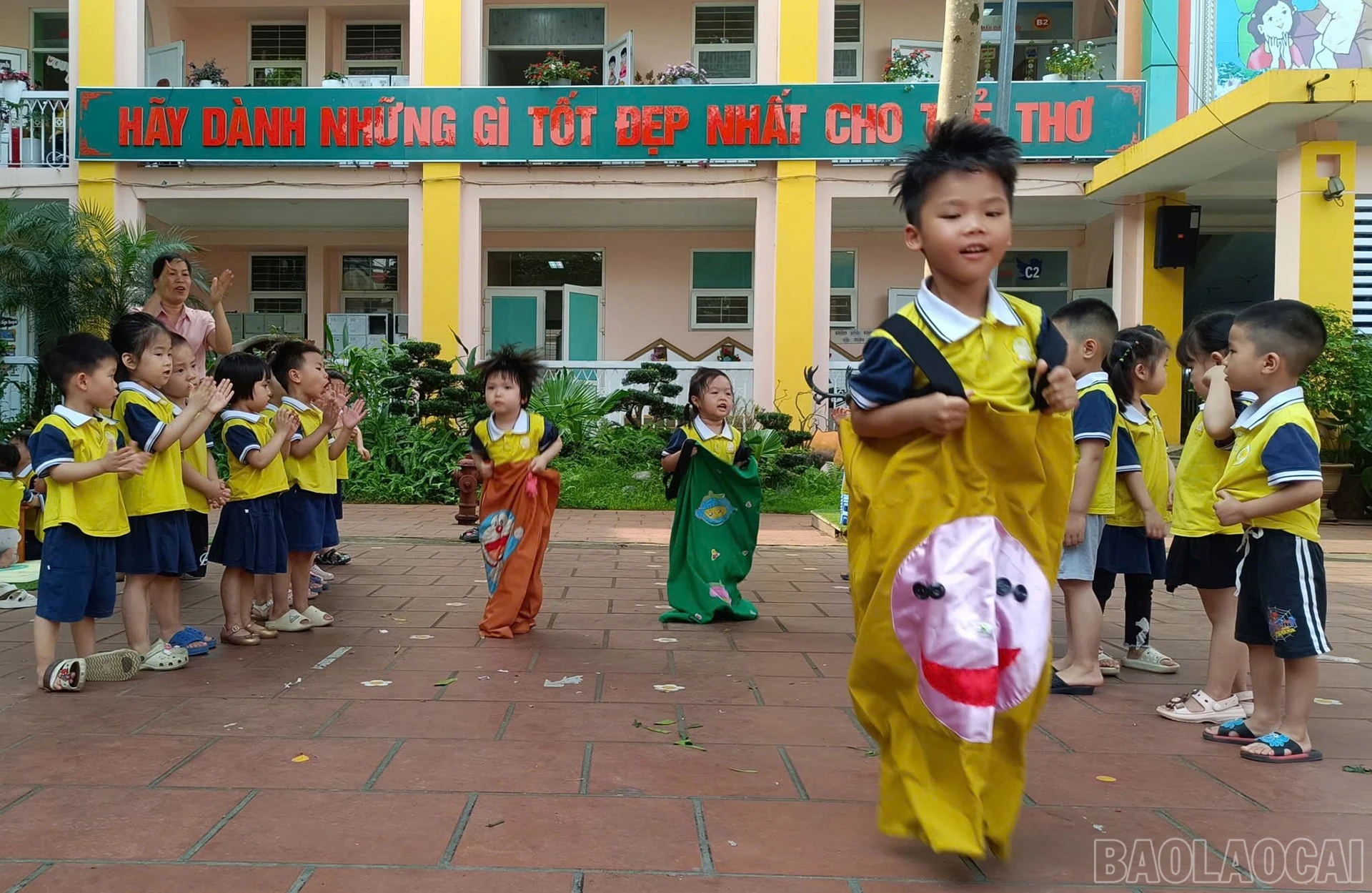 baolaocai-br_6.jpg