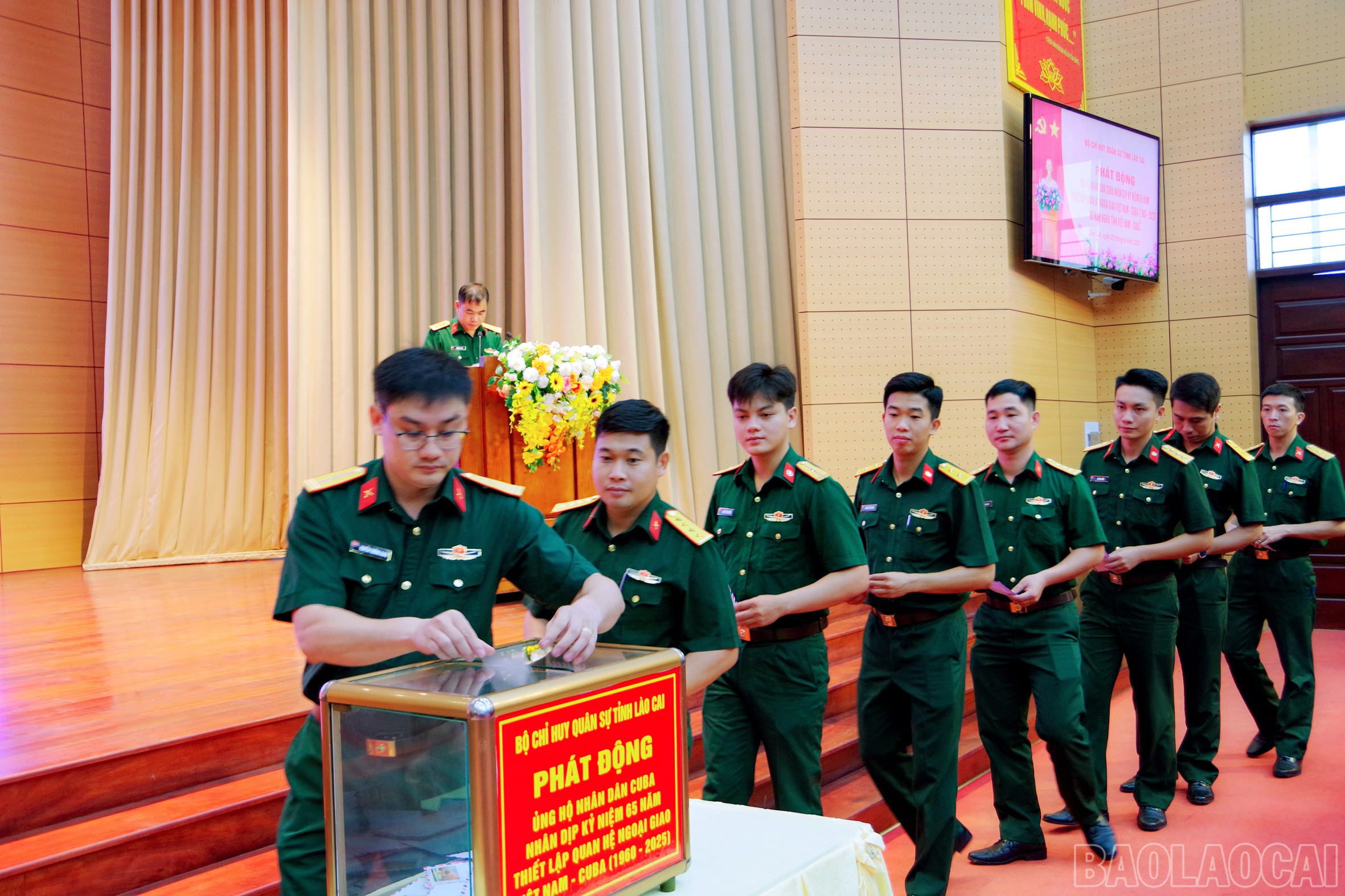 baolaocai-br_anh-5-1.jpg