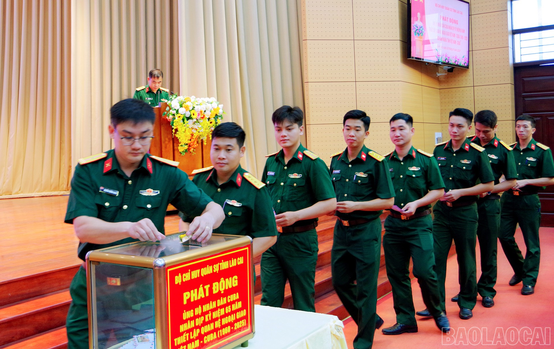 baolaocai-br_anh-5.jpg