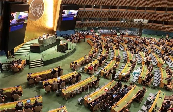 (Minh hoạ) Hình ảnh phiên họp tại Liên hợp quốc.