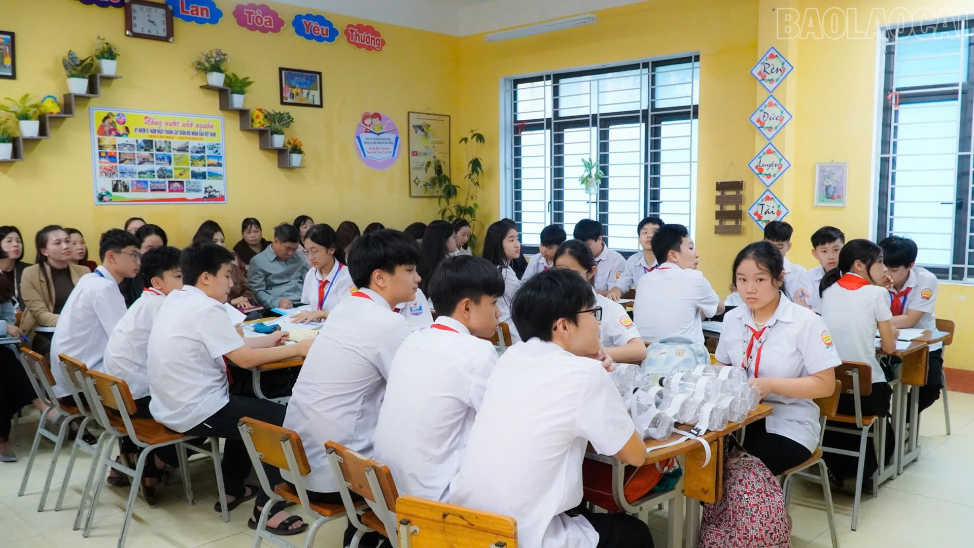 baolaocai-tr_13-3-cum3.jpg