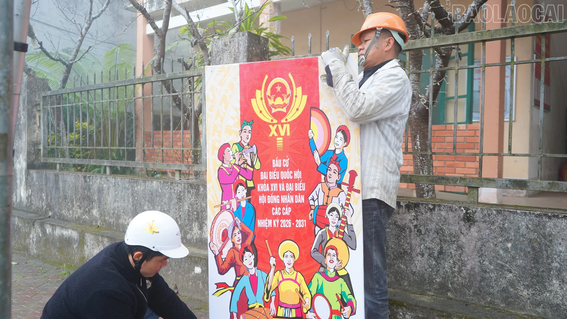 baolaocai-tr_4-3689.jpg