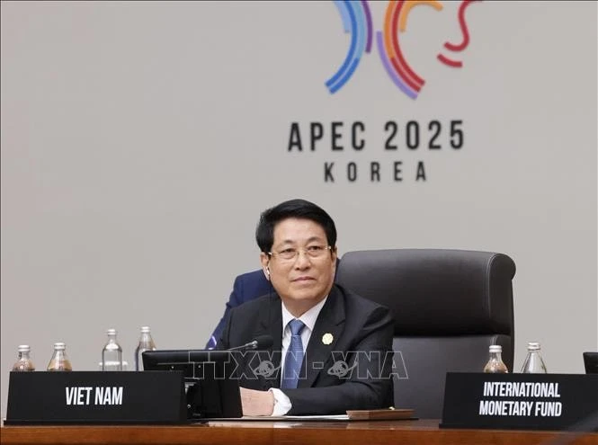 Chủ tịch nước Lương Cường dự Hội nghị Cấp cao Diễn đàn Hợp tác kinh tế châu Á - Thái Bình Dương (APEC) lần thứ 32.