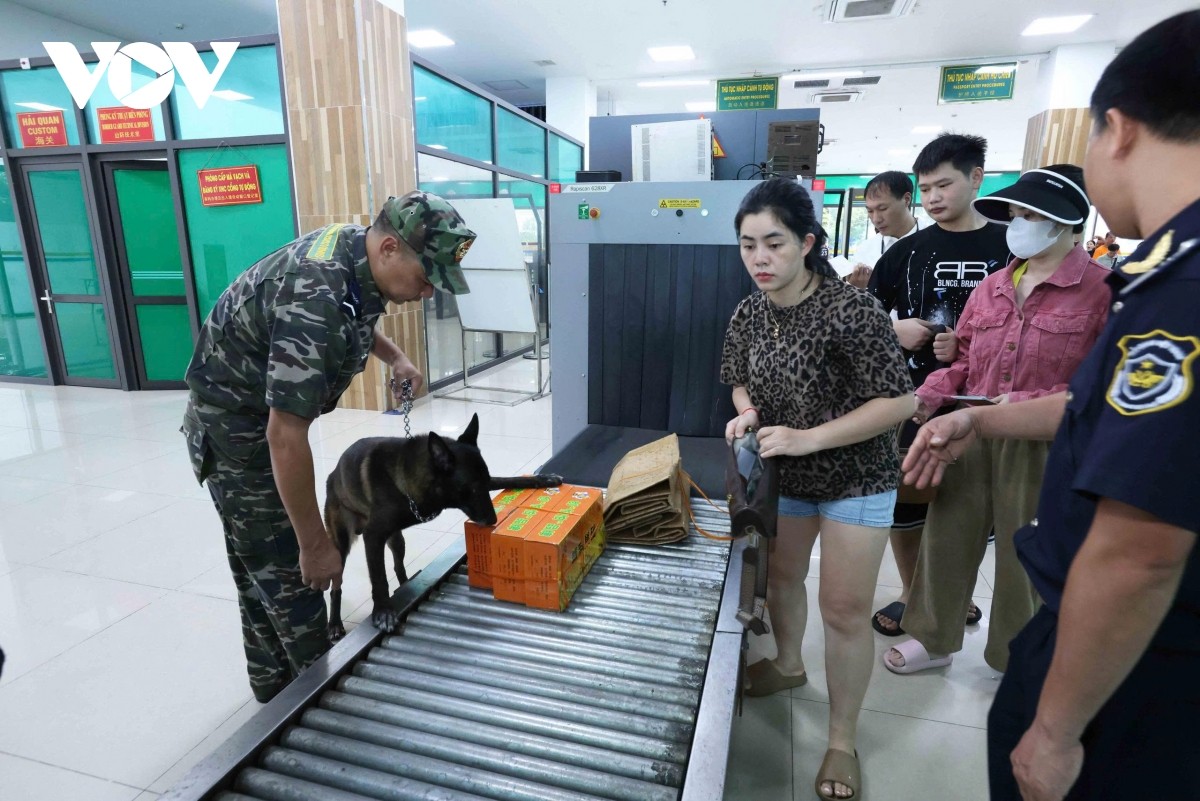 Regiunea Vamală a VII-a consolidează controlul mărfurilor la sfârșitul anului la Poarta de Frontieră Internațională Lao Cai. Hải quan khu vực VII tăng cường kiểm soát hàng hóa cuối năm tại Cửa khẩu Quốc tế Lào Cai.