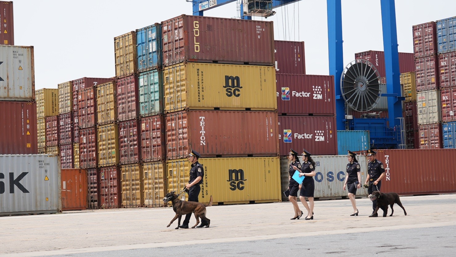 Bộ Xây dựng yêu cầu xác định rõ đối tượng, tuyến, địa bàn và mặt hàng trọng điểm để tập trung lực lượng, phương tiện kiểm soát, nhất là tại các khu vực cửa khẩu đường bộ, đường sắt, đường biển, đường sông, đường hàng không.