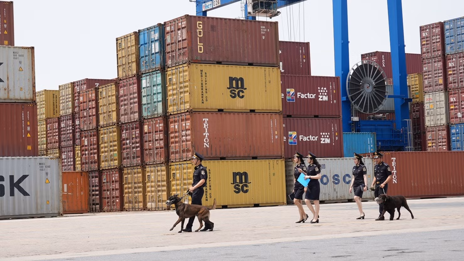 Bộ Xây dựng yêu cầu xác định rõ đối tượng, tuyến, địa bàn và mặt hàng trọng điểm để tập trung lực lượng, phương tiện kiểm soát, nhất là tại các khu vực cửa khẩu đường bộ, đường sắt, đường biển, đường sông, đường hàng không.